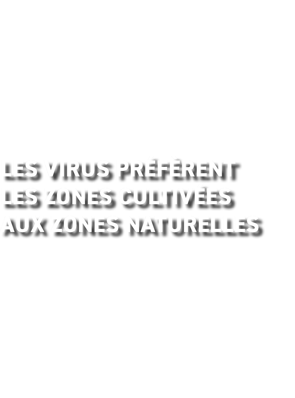 Les virus pr f rent les zones cultiv es aux zones naturelles