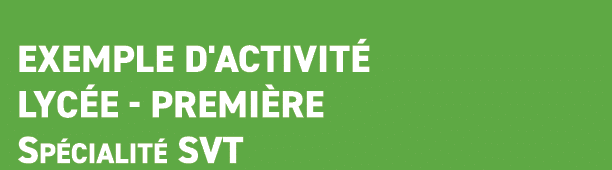  Exemple d'activit Lyc e Premi re Sp cialit  SVT