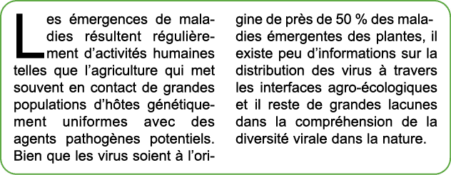 Les mergences de maladies r sultent r guli rement d’activit s humaines telles que l’agriculture qui met souvent en c...