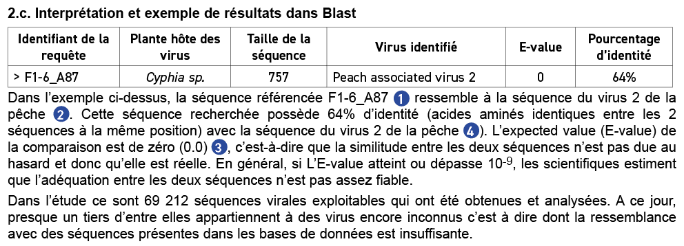 2.c. Interpr tation et exemple de r sultats dans Blast Dans l’exemple ci dessus, la s quence r f renc e F1 6_A87 ￼ re...