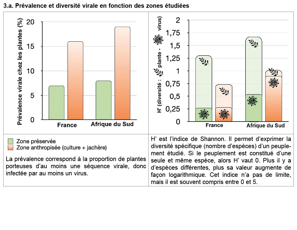 3.a. Pr valence et diversit virale en fonction des zones  tudi es 