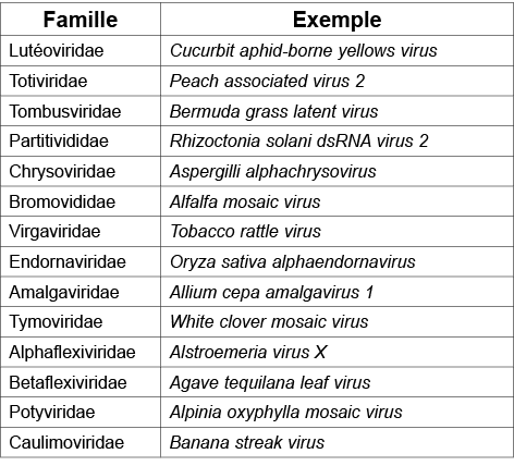 Famille,Exemple,Lut oviridae,Cucurbit aphid borne yellows virus,Totiviridae,Peach associated virus 2,Tombusviridae,Be...