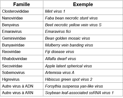 Famille,Exemple,Closterovididae,Mint virus 1,Nanoviridae,Faba bean necrotic stunt virus,Benyvirus,Beet necrotic yello...