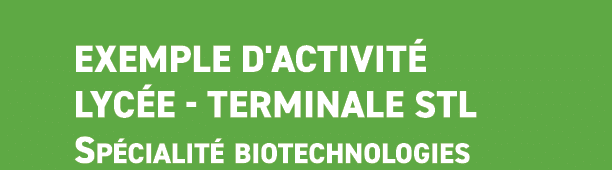  Exemple d'activit lyc e Terminale STL Sp cialit  biotechnologies