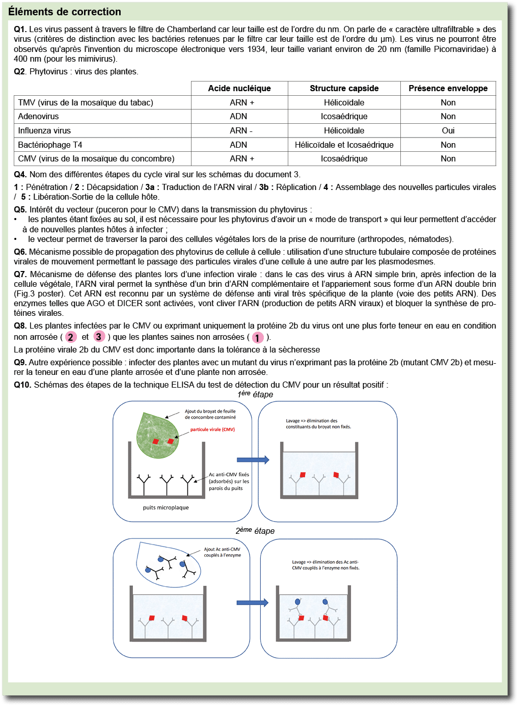  l ments de correction ￼