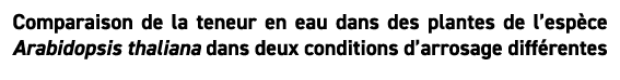Comparaison de la teneur en eau dans des plantes de l’esp ce Arabidopsis thaliana dans deux conditions d’arrosage dif...