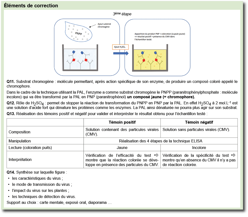  l ments de correction ￼