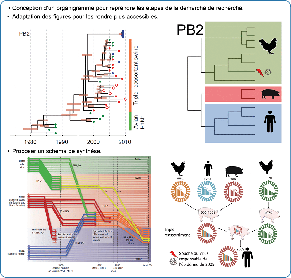 • Conception d’un organigramme pour reprendre les tapes de la d marche de recherche. • Adaptation des figures pour l...
