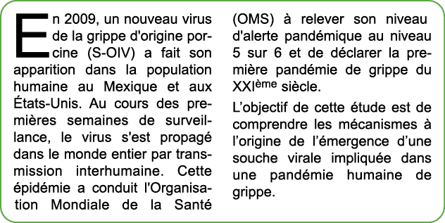 En 2009, un nouveau virus de la grippe d'origine porcine (S OIV) a fait son apparition dans la population humaine au ...