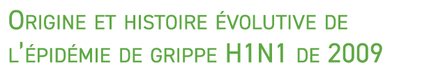 Origine et histoire volutive de l’ pid mie de grippe H1N1 de 2009