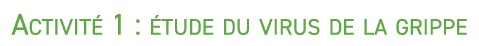 Activit 1 :  tude du virus de la grippe