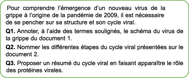 Pour comprendre l’ mergence d’un nouveau virus de la grippe  l’origine de la pand mie de 2009, il est n cessaire de ...