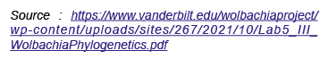 Source : https://www.vanderbilt.edu/wolbachiaproject/wp content/uploads/sites/267/2021/10/Lab5_III_WolbachiaPhylogene...