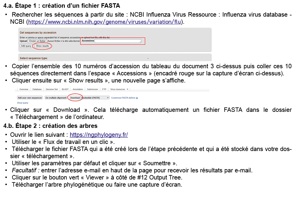4.a. tape 1 : cr ation d’un fichier FASTA • ­ Rechercher les s quences   partir du site : NCBI Influenza Virus Resso...