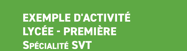 Exemple d'activit lyc e premi re Sp cialit  SVT