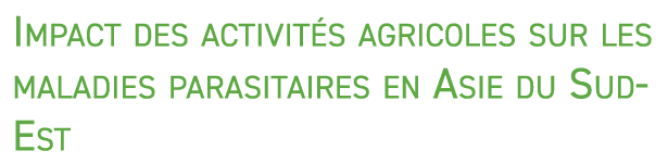 Impact des activit s agricoles sur les maladies parasitaires en Asie du Sud Est