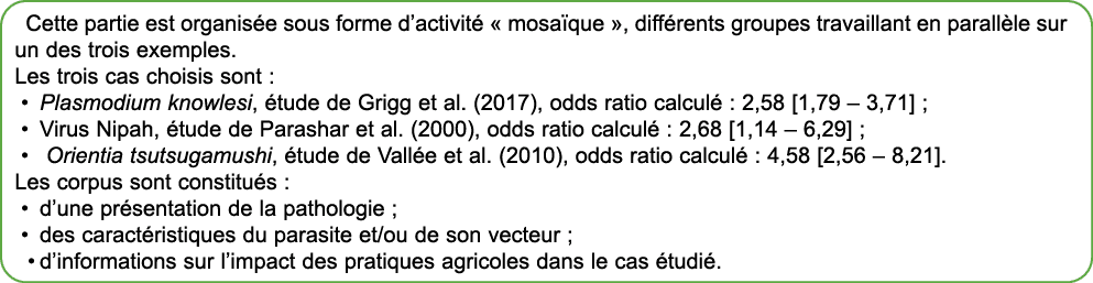 Cette partie est organis e sous forme d’activit « mosa que », diff rents groupes travaillant en parall le sur un des...