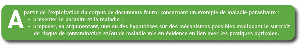 A partir de l’exploitation du corpus de documents fourni concernant un exemple de maladie parasitaire : • pr senter l...