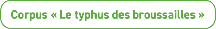 Corpus « Le typhus des broussailles »