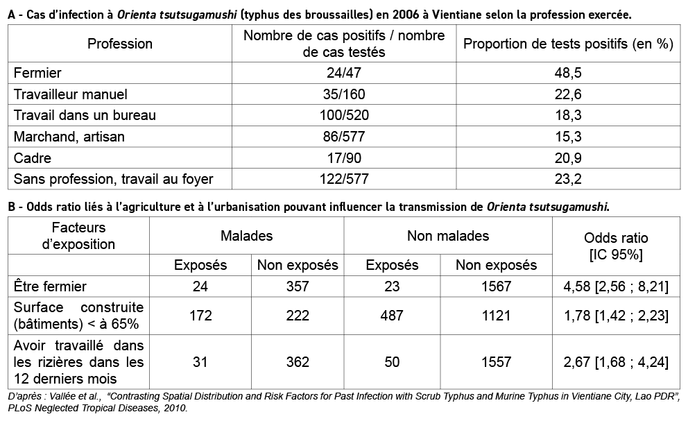 A Cas d’infection  Orienta tsutsugamushi (typhus des broussailles) en 2006   Vientiane selon la profession exerc e. ...