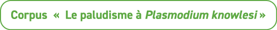 Corpus « Le paludisme  Plasmodium knowlesi »