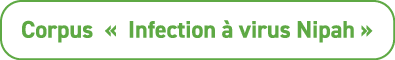 Corpus « Infection  virus Nipah »