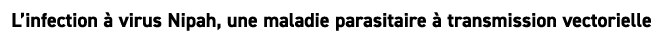 L’infection  virus Nipah, une maladie parasitaire   transmission vectorielle 