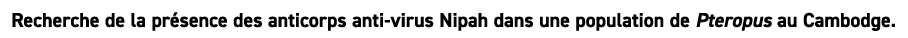 Recherche de la pr sence des anticorps anti virus Nipah dans une population de Pteropus au Cambodge. 