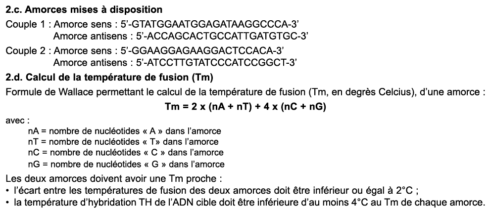 2.c. Amorces mises  disposition Couple 1 : Amorce sens : 5’ GTATGGAATGGAGATAAGGCCCA 3’ Amorce antisens : 5’ ACCAGCAC...