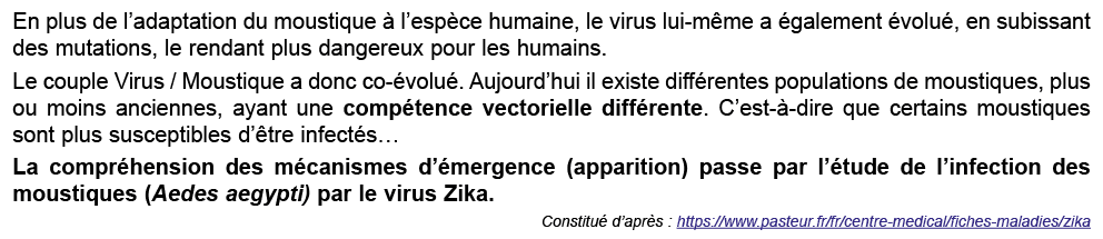 En plus de l’adaptation du moustique  l’esp ce humaine, le virus lui m me a  galement  volu , en subissant des mutat...