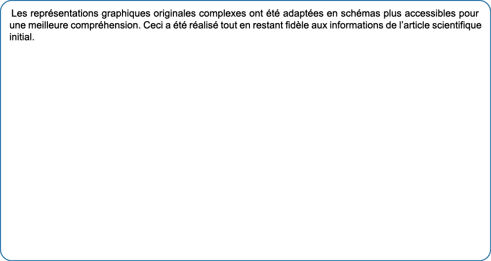 Les repr sentations graphiques originales complexes ont t  adapt es en sch mas plus accessibles pour une meilleure c...
