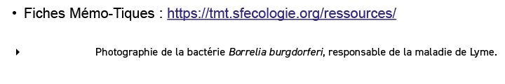 • Fiches M mo Tiques : https://tmt.sfecologie.org/ressources/ � Photographie de la bact rie Borrelia burgdorferi, res...