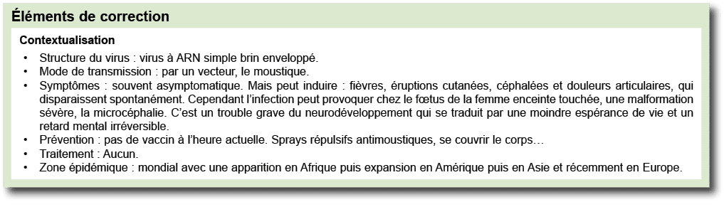  l ments de correction ￼