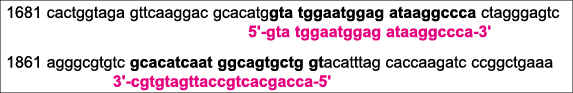 1681 cactggtaga gttcaaggac gcacatggta tggaatggag ataaggccca ctagggagtc 5' gta tggaatggag ataaggccca 3' 1861 agggcgtgt...