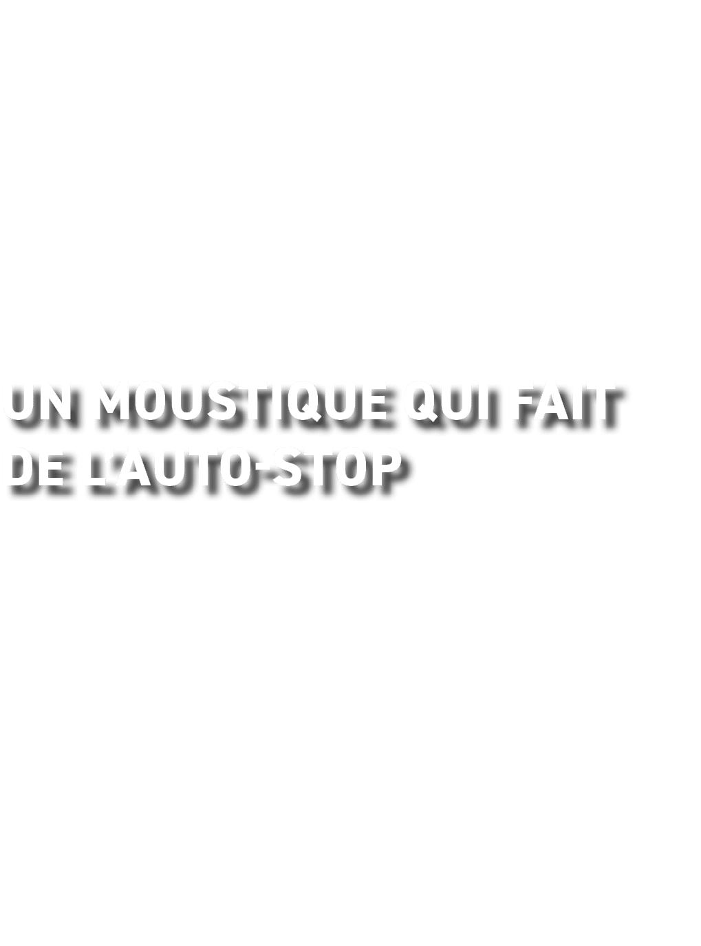 Un moustique qui fait de l’auto stop 