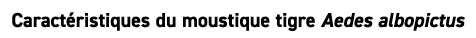 Caract ristiques du moustique tigre Aedes albopictus