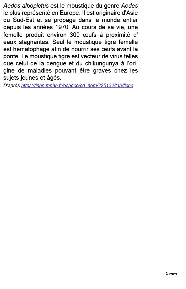 Aedes albopictus est le moustique du genre Aedes le plus repr sent en Europe. Il est originaire d'Asie du Sud Est et...