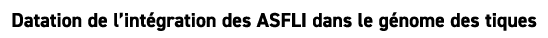Datation de l’int gration des ASFLI dans le g nome des tiques