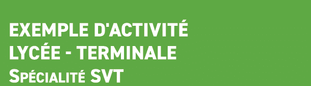  Exemple d'activit lyc e Terminale Sp cialit  SVT