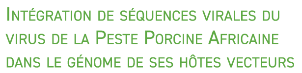 Int gration de s quences virales du virus de la Peste Porcine Africaine dans le g nome de ses h tes vecteurs