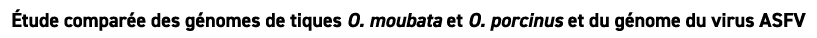  tude compar e des g nomes de tiques O. moubata et O. porcinus et du g nome du virus ASFV