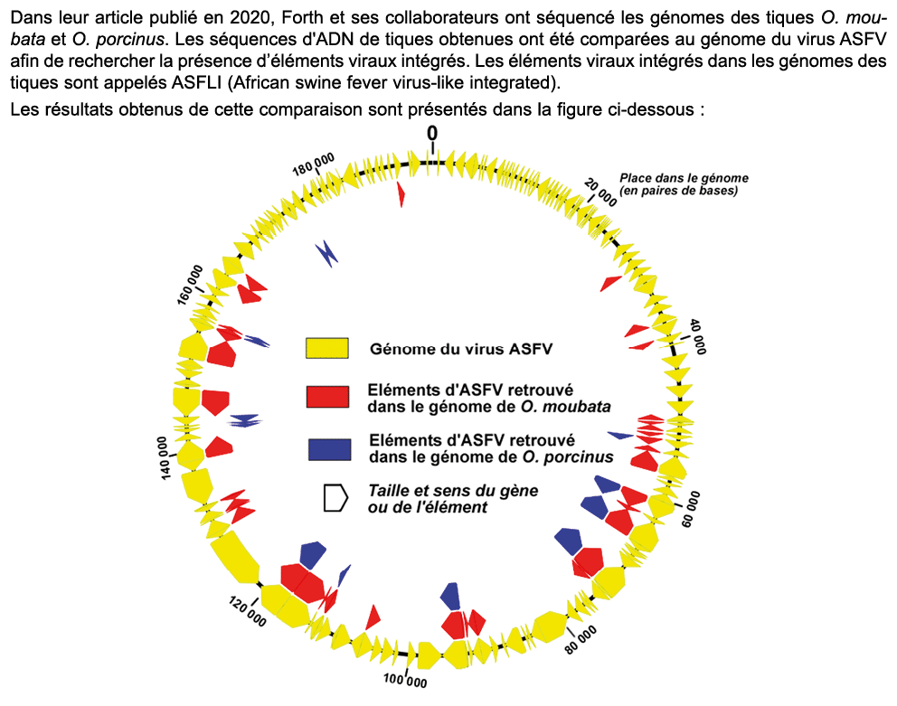 Dans leur article publi en 2020, Forth et ses collaborateurs ont s quenc  les g nomes des tiques O. moubata et O. po...