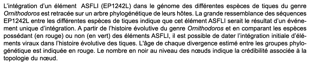 L’int gration d’un l ment ASFLI (EP1242L) dans le g nome des diff rentes esp ces de tiques du genre Ornithodoros est...