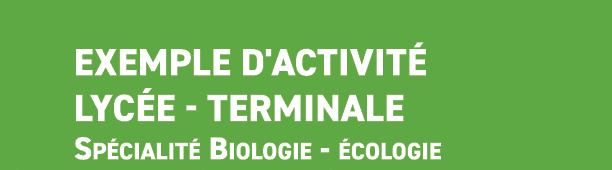  Exemple d'activit lyc e Terminale Sp cialit  Biologie  cologie