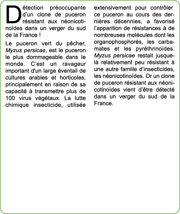 D tection pr occupante d’un clone de puceron r sistant aux n onicotino des dans un verger du sud de la France ! Le pu...