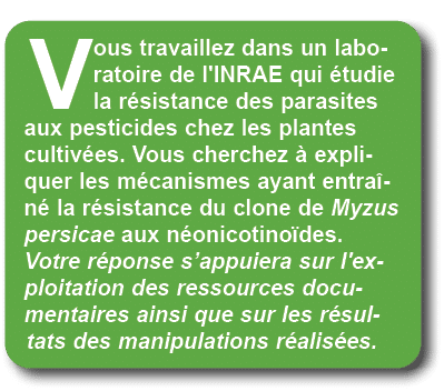 Vous travaillez dans un laboratoire de l'INRAE qui tudie la r sistance des parasites aux pesticides chez les plantes...