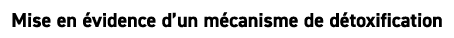 Mise en vidence d’un m canisme de d toxification