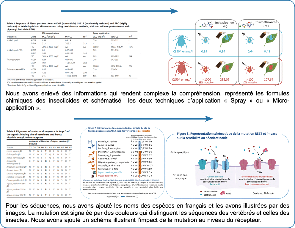 ￼ ￼ ￼ Nous avons enlev des informations qui rendent complexe la compr hension, repr sent  les formules chimiques des...