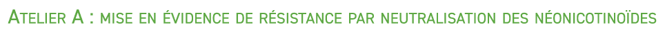 Atelier A : mise en vidence de r sistance par neutralisation des n onicotino des