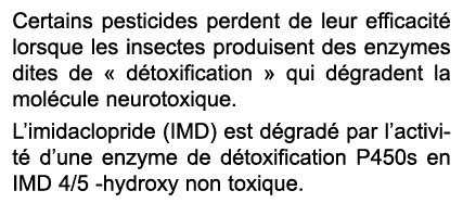 Certains pesticides perdent de leur efficacit lorsque les insectes produisent des enzymes dites de « d toxification ...